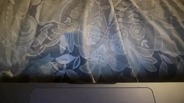 Dogz n daugthers online show from March 2026 12:37:01 AM