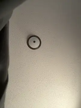 ebonyred online show from December 2025 02:24:02 PM