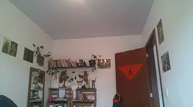 SweetyBabyDemon online show from December 2024 01:24:01 PM