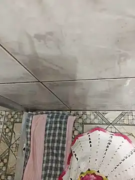 Adee21e online show from November 2025 03:56:01 AM