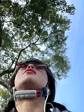 Game yoyo online show from October 2025 03:43:02 AM