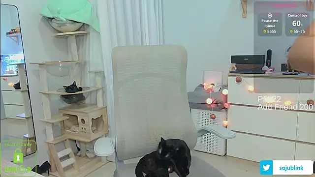 littlemiilk online show from January 2026 08:08:01 AM