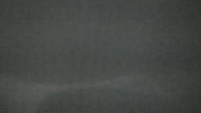 canela wet online show from February 2025 12:25:02 PM