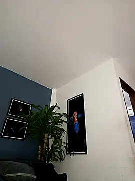 SilvaBranko online show from December 2025 12:06:01 AM