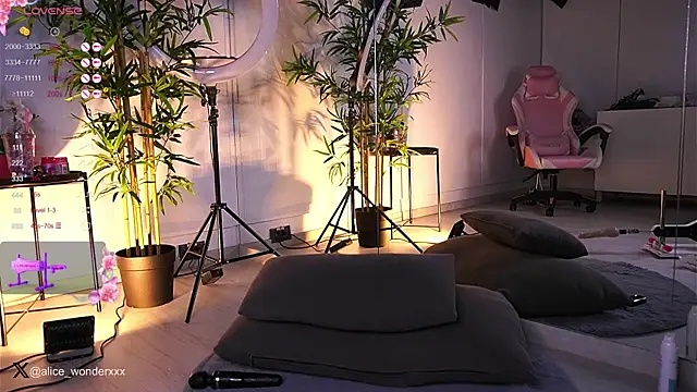 Snapshot of VanessaSimon chatting on January 2025 11:44:02 AM VanessaSimon online show from January 2025 11:44:02 AM