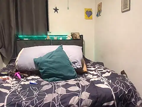 ChileVerde12 online show from July 2026 09:48:01 AM