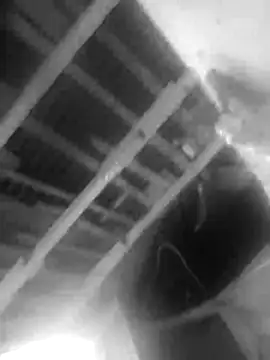 Jerryhottt online show from November 2025 03:18:02 AM