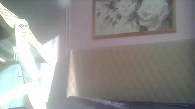 SunElizabeth online show from June 2026 02:43:02 AM