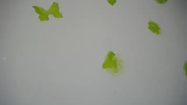 RACHELL  HOT online show from September 2025 06:35:02 PM