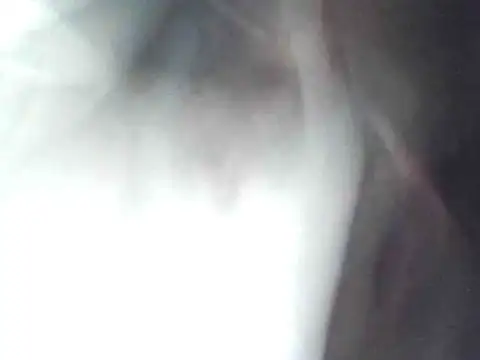 Snapshot of technodotado chatting on April 2026 02:13:01 AM technodotado online show from April 2026 02:13:01 AM