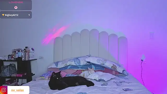 charlotte 002 online show from March 2026 11:09:01 PM