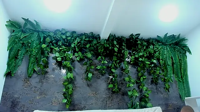 alice greco online show from November 2025 05:01:02 PM