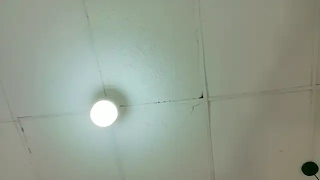 kendalltaylorr online show from March 2026 04:42:01 AM