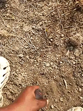 Snapshot of Ajith_mvi chatting on February 2026 03:35:02 AM Ajith mvi online show from February 2026 03:35:02 AM