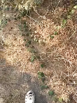 Snapshot of Ajith_mvi chatting on March 2026 11:37:02 AM Ajith mvi online show from March 2026 11:37:02 AM