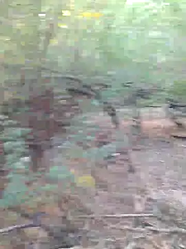 Snapshot of Ajith_mvi chatting on March 2026 02:44:02 AM Ajith mvi online show from March 2026 02:44:02 AM