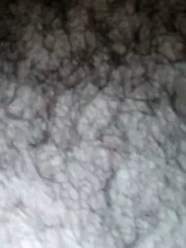 Hairyarabguy online show from May 2026 11:11:01 PM
