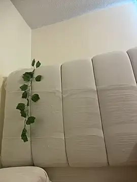 Megan Rodrigo online show from April 2026 12:50:02 PM