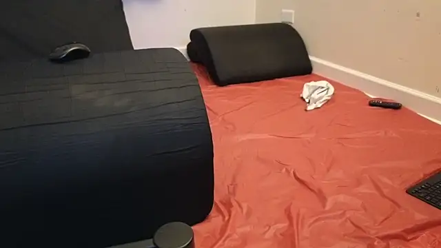 Snapshot of pantslesstraveler_plt chatting on February 2025 01:52:02 AM pantslesstraveler plt online show from February 2025 01:52:02 AM