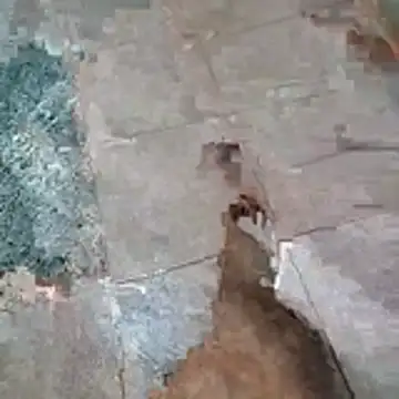 jockey2051992 online show from April 2026 02:50:01 AM