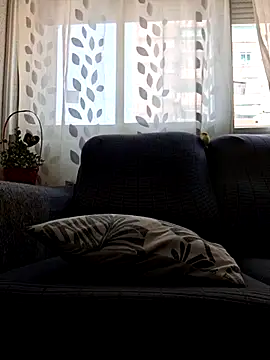 Javier bear online show from July 2026 12:53:02 PM