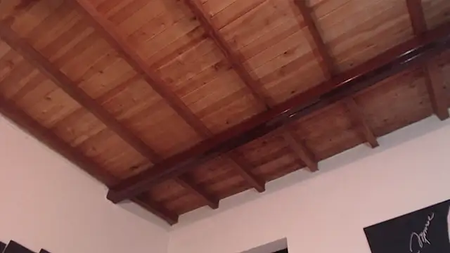 seleneh online show from March 2025 09:40:02 PM