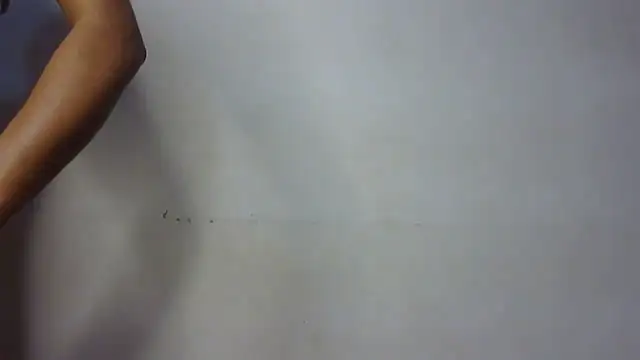 Snapshot of seema_raani chatting on January 2025 03:34:02 PM seema raani online show from January 2025 03:34:02 PM