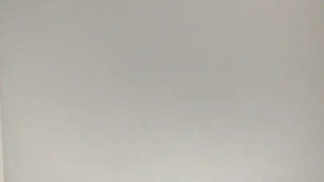 fukurbutt online show from February 2026 07:08:02 PM