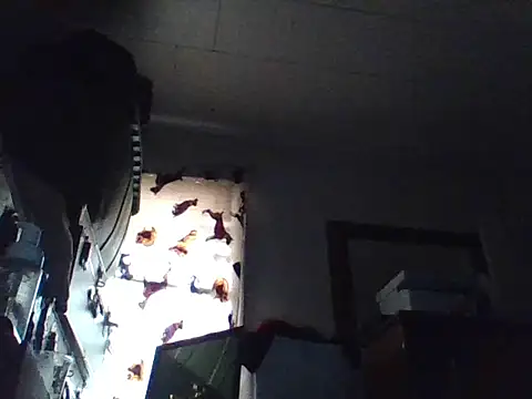 LongDickLance online show from March 2026 04:03:02 PM