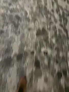 Snapshot of mightgogay chatting on February 2025 04:54:01 AM mightgogay online show from February 2025 04:54:01 AM