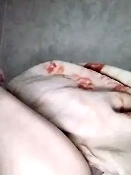 nayakaA7 online show from March 2025 09:34:02 AM