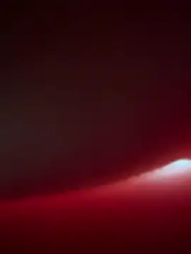 SeiGeilUndFrei online show from February 2026 08:55:01 AM