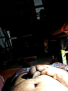 findmemylove online show from February 2025 08:14:02 PM