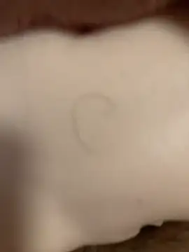 Beijing2000 online show from November 2025 12:55:02 AM