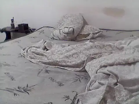 Snapshot of mariy_ chatting on March 2025 01:05:01 AM mariy  online show from March 2025 01:05:01 AM