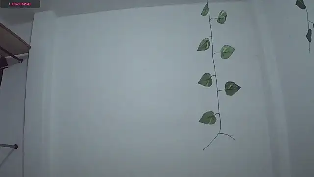 stephybrowm7 online show from October 2025 05:37:01 PM