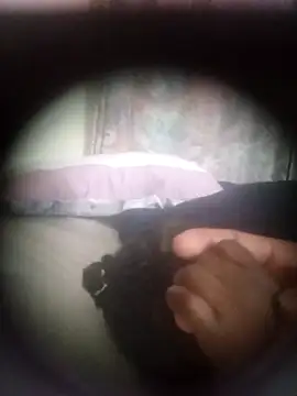 centzSexy online show from October 2025 12:51:02 AM