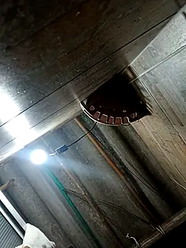 Restrepo300 online show from October 2025 11:13:02 PM