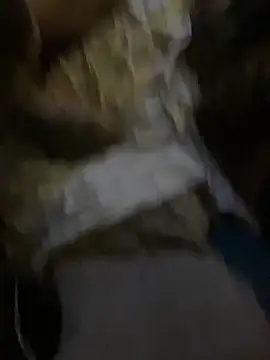 Snapshot of WilldoPita chatting on January 2025 09:19:02 AM WilldoPita online show from January 2025 09:19:02 AM