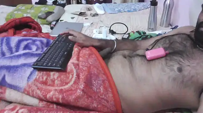 sanik 2428 online show from January 2025 05:44:02 PM