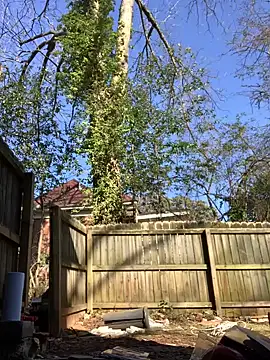 trash4cash online show from January 2025 08:04:01 PM