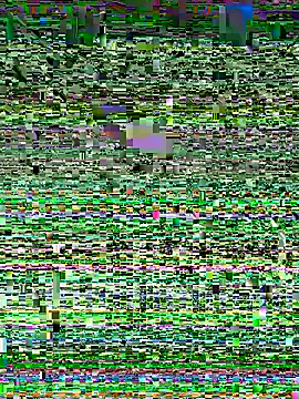 Snapshot of Snehameoww@xh chatting on November 2025 04:16:02 PM Snehameowwxh online show from November 2025 04:16:02 PM