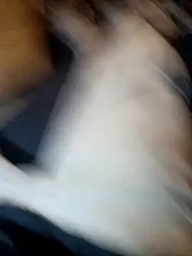 ySqmbVanbe online show from November 2025 07:14:01 PM