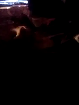 ySqmbVanbe online show from March 2026 07:59:01 AM