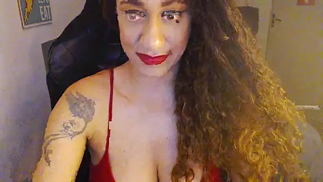 gauchinhaG online show from February 2026 02:57:02 PM