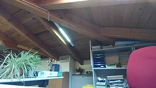 TWENTYONE0021 online show from January 2025 10:21:02 AM