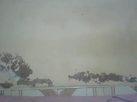 Naivegirrl online show from August 2026 04:17:02 PM