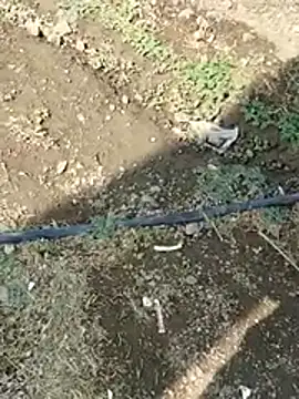 Snapshot of DADDY69SS chatting on February 2026 08:51:01 AM DADDY69SS online show from February 2026 08:51:01 AM