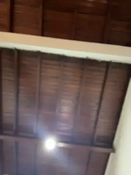 Snapshot of emiss_ chatting on December 2025 03:51:01 PM emiss online show from December 2025 03:51:01 PM