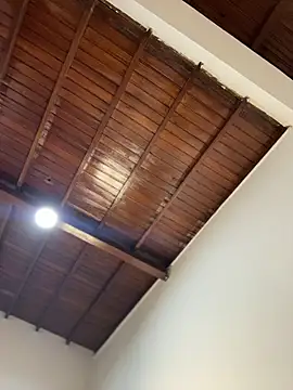 emiss  online show from February 2026 03:16:02 PM